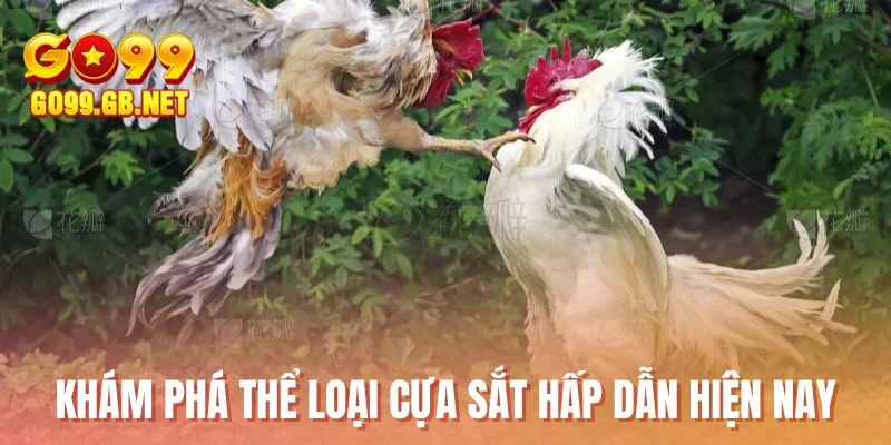 Khám phá thể loại cựa sắt hấp dẫn hiện nay